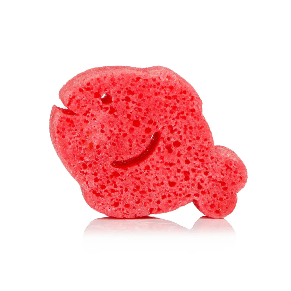 Spongelle® Sponge Sea Animals-Fiona Fish