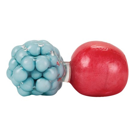 Click Clack & Pearl Gel Ball Duo Stress Balls