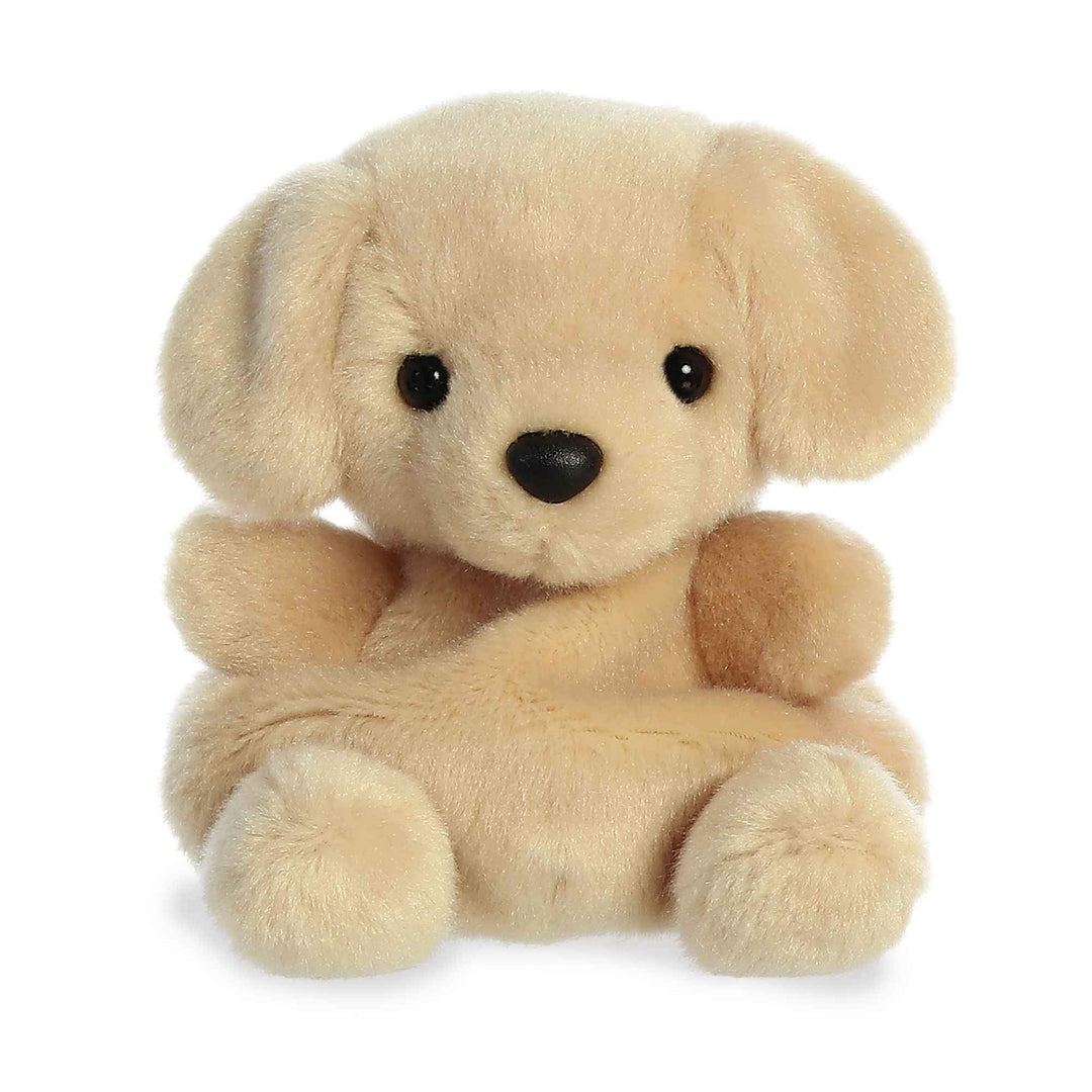 Palm Pals Sunny Lab™ 5" Plush